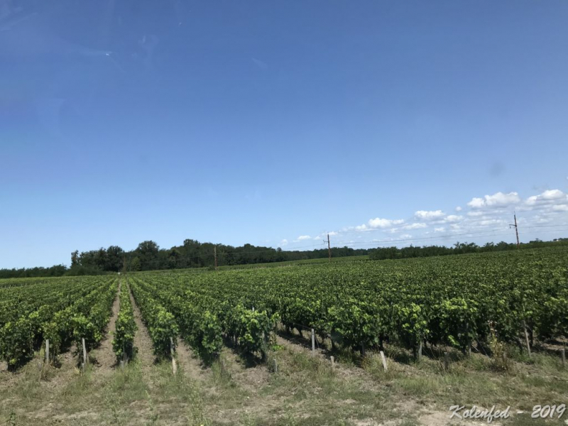 «Что-то пошло не так» – автотрип по Европе-2019, вопреки обстоятельствам.