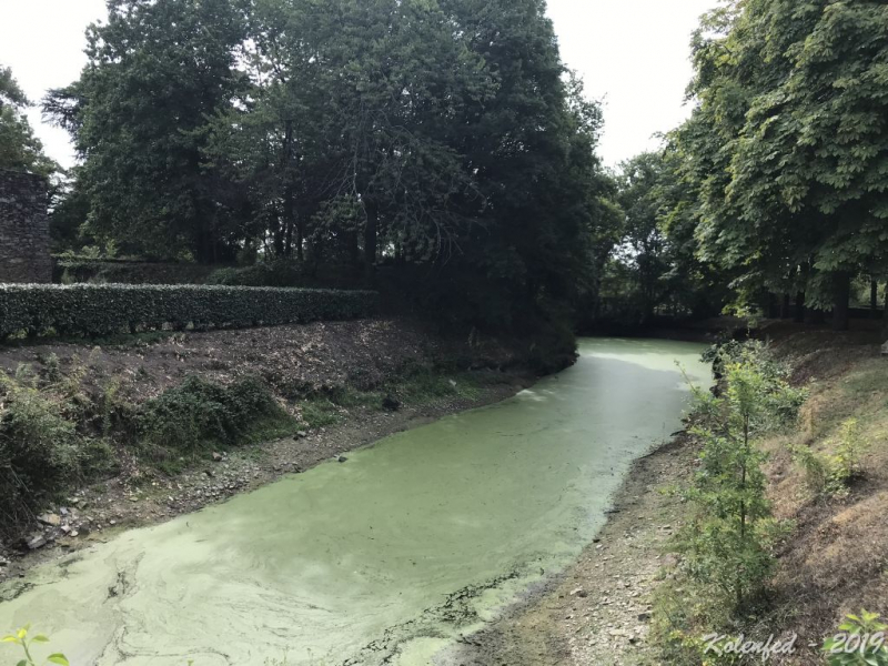 «Что-то пошло не так» – автотрип по Европе-2019, вопреки обстоятельствам.