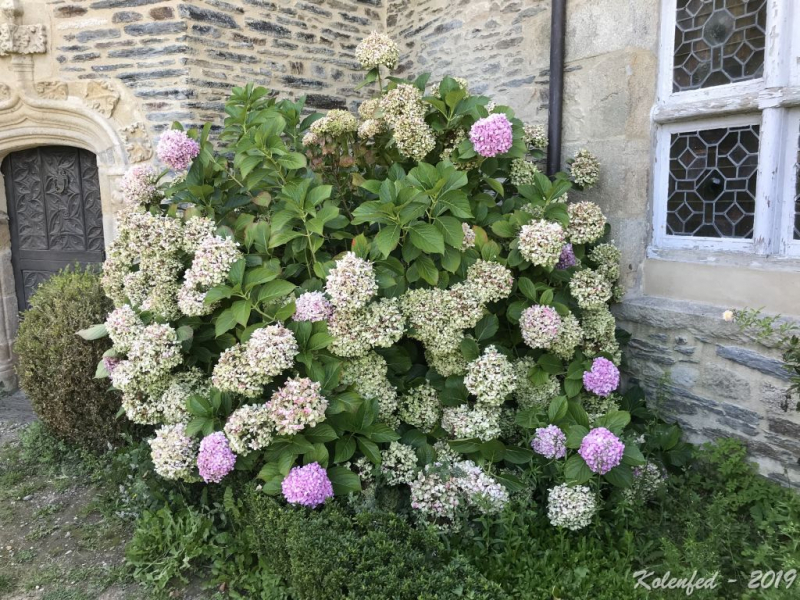 «Что-то пошло не так» – автотрип по Европе-2019, вопреки обстоятельствам. «Что-то пошло не так» – автотрип по Европе-2019, вопреки обстоятельствам.