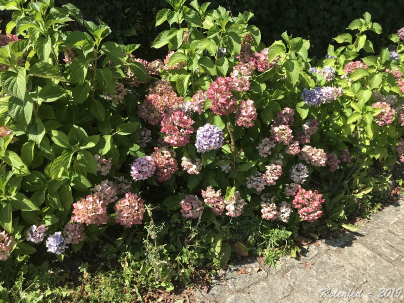 «Что-то пошло не так» – автотрип по Европе-2019, вопреки обстоятельствам. «Что-то пошло не так» – автотрип по Европе-2019, вопреки обстоятельствам.