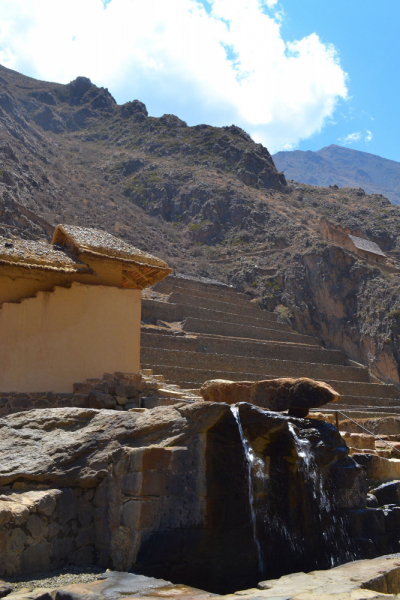 Лима-Ика-Куско-Лима или краткое руководство по борьбе с собственными страхами и комплексами