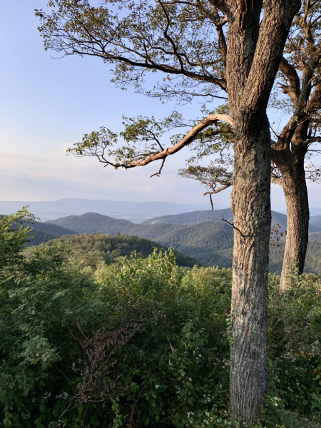 Из Вашингтона в Щикаго по Blue Ridge Parkway