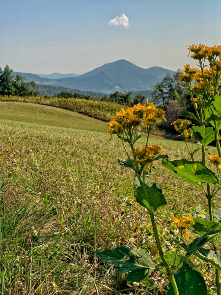 Из Вашингтона в Щикаго по Blue Ridge Parkway