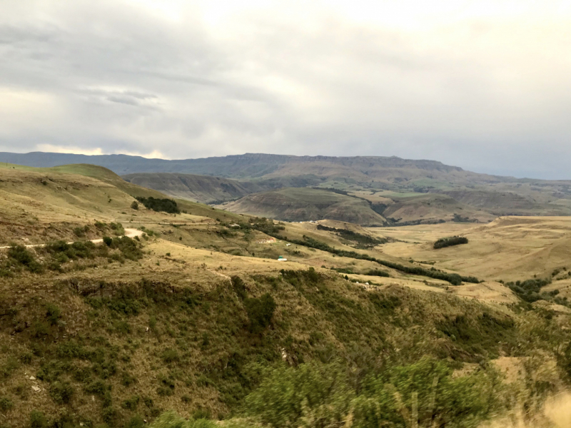 We are in ЮАР (Кейптаун и окрестности-Йоханнесбург-Дракенсберг- Sani Pass-Свазиленд-национальные парки)