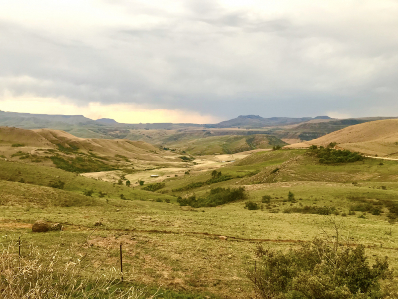 We are in ЮАР (Кейптаун и окрестности-Йоханнесбург-Дракенсберг- Sani Pass-Свазиленд-национальные парки)