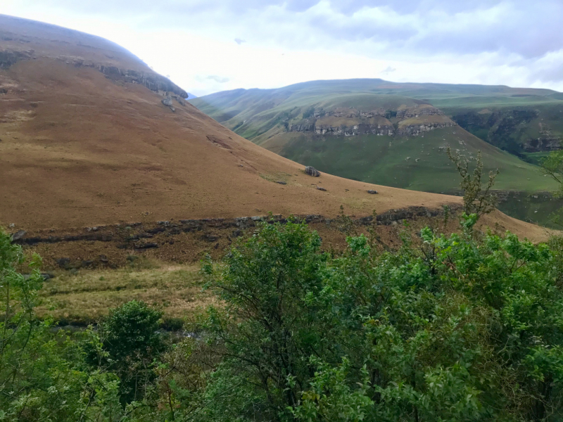 We are in ЮАР (Кейптаун и окрестности-Йоханнесбург-Дракенсберг- Sani Pass-Свазиленд-национальные парки)