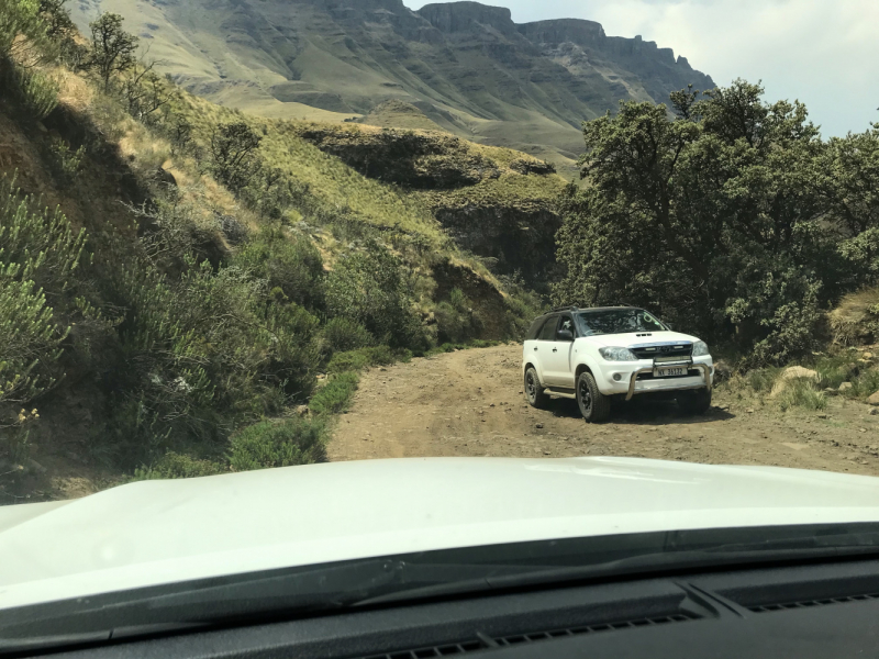 We are in ЮАР (Кейптаун и окрестности-Йоханнесбург-Дракенсберг- Sani Pass-Свазиленд-национальные парки)