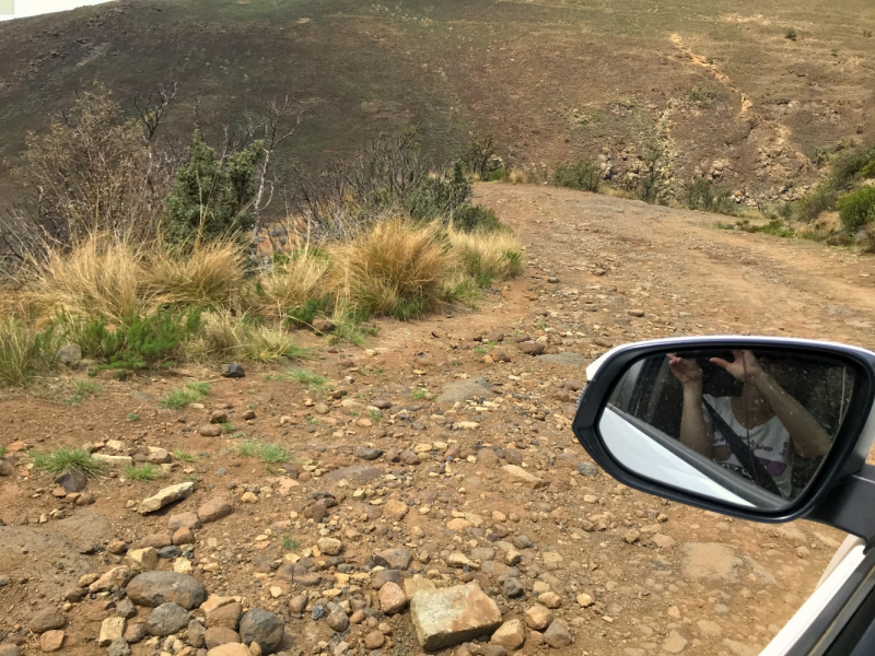 We are in ЮАР (Кейптаун и окрестности-Йоханнесбург-Дракенсберг- Sani Pass-Свазиленд-национальные парки)