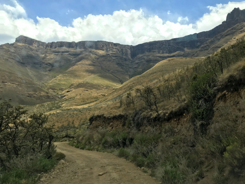 We are in ЮАР (Кейптаун и окрестности-Йоханнесбург-Дракенсберг- Sani Pass-Свазиленд-национальные парки)