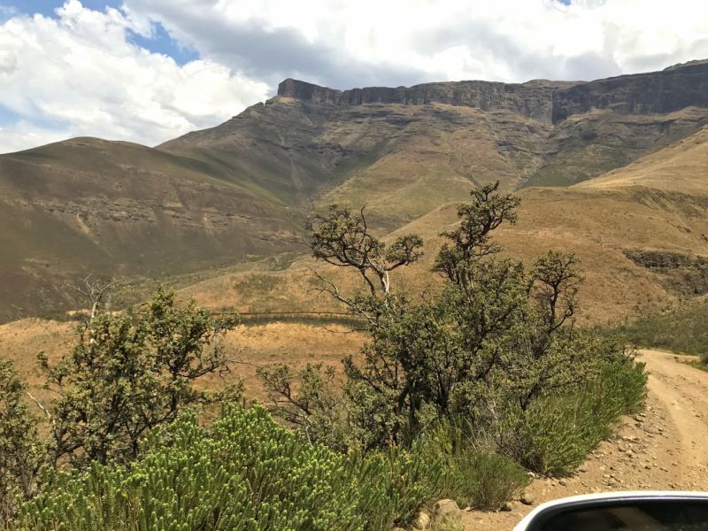 We are in ЮАР (Кейптаун и окрестности-Йоханнесбург-Дракенсберг- Sani Pass-Свазиленд-национальные парки)