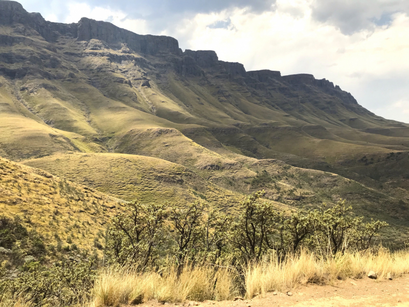 We are in ЮАР (Кейптаун и окрестности-Йоханнесбург-Дракенсберг- Sani Pass-Свазиленд-национальные парки)