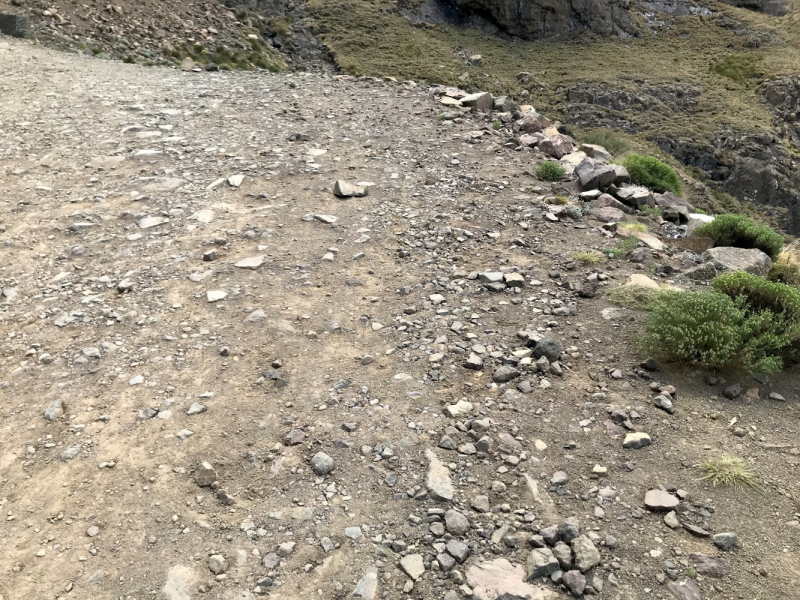 We are in ЮАР (Кейптаун и окрестности-Йоханнесбург-Дракенсберг- Sani Pass-Свазиленд-национальные парки)