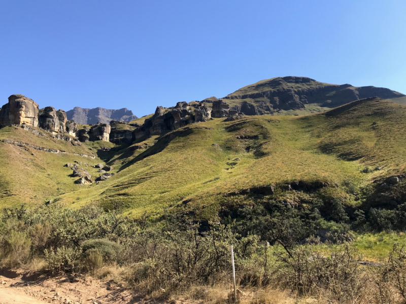 We are in ЮАР (Кейптаун и окрестности-Йоханнесбург-Дракенсберг- Sani Pass-Свазиленд-национальные парки)