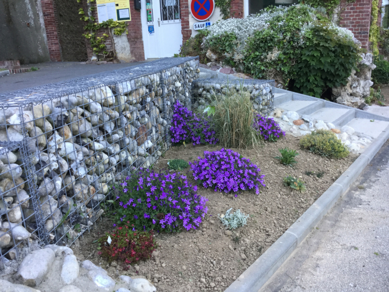 Мистер Чукен’с холлидей