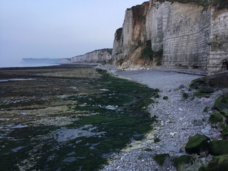 Мистер Чукен’с холлидей