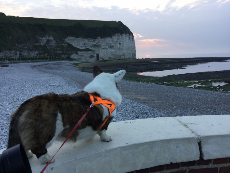 Мистер Чукен’с холлидей