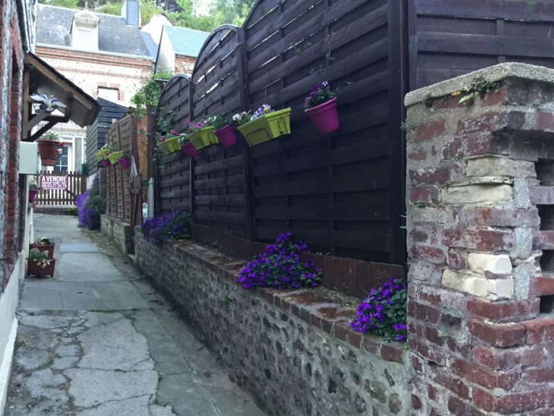 Мистер Чукен’с холлидей