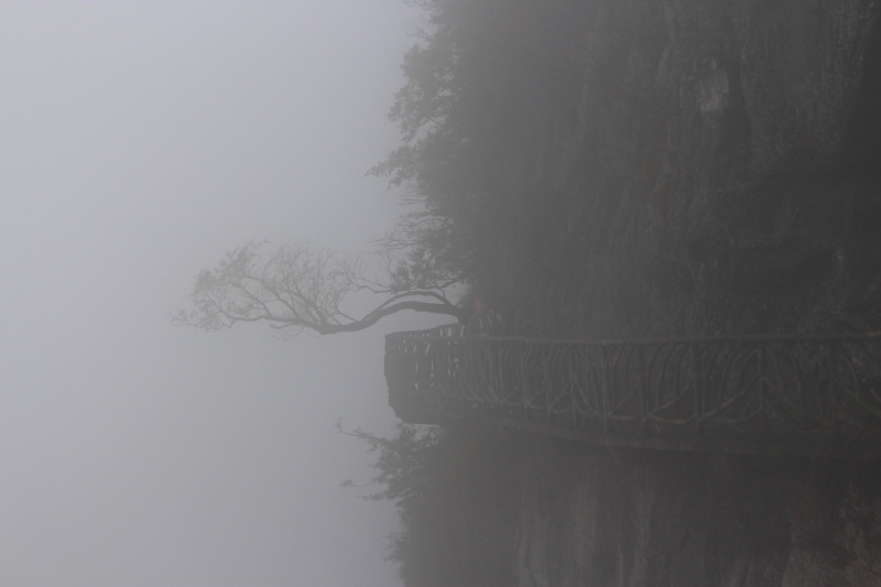 Путешествие за красотой. Shanghai - Yangshuo - Fenghuang - Furong - Zhangjiajie - Hongkong - Makau. Сентябрь - октябрь 2019.