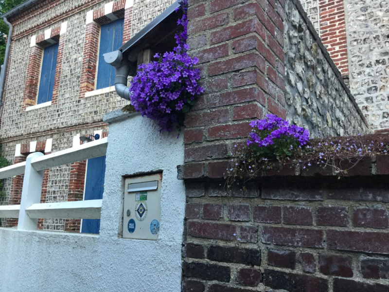 Мистер Чукен’с холлидей