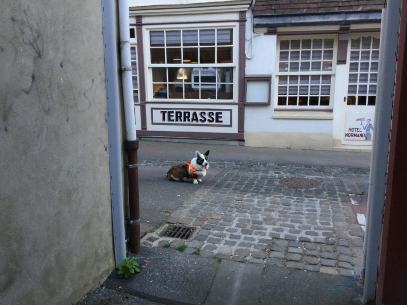 Мистер Чукен’с холлидей