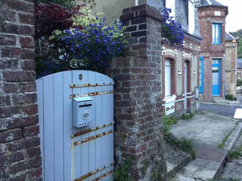 Мистер Чукен’с холлидей