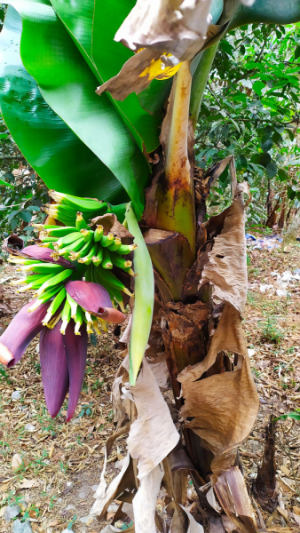 Лима-Ика-Куско-Лима или краткое руководство по борьбе с собственными страхами и комплексами