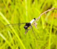 Наше большое приключение или летний месяц в Поднебесной