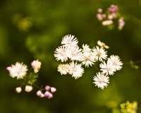 Наше большое приключение или летний месяц в Поднебесной