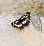 Наше большое приключение или летний месяц в Поднебесной