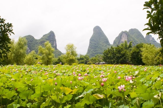 Наше большое приключение или летний месяц в Поднебесной