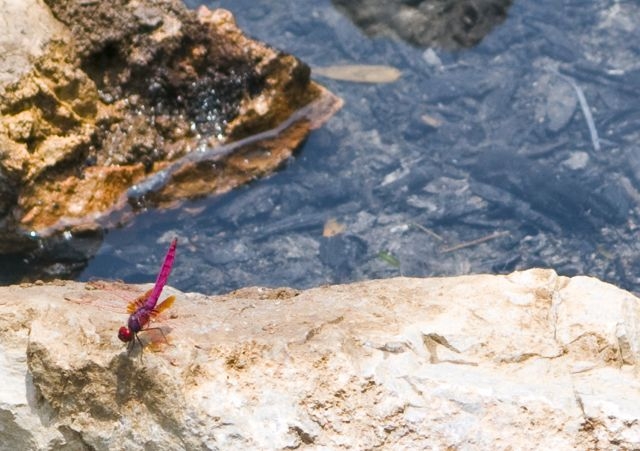 Наше большое приключение или летний месяц в Поднебесной