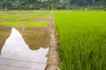 Наше большое приключение или летний месяц в Поднебесной