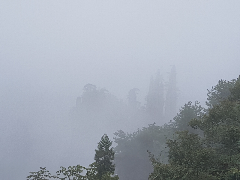 Путешествие за красотой. Shanghai - Yangshuo - Fenghuang - Furong - Zhangjiajie - Hongkong - Makau. Сентябрь - октябрь 2019.