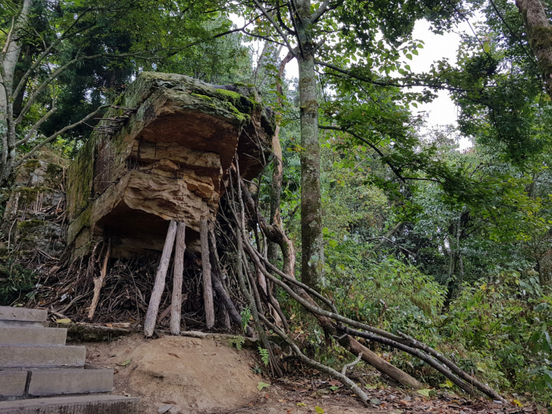 Путешествие за красотой. Shanghai - Yangshuo - Fenghuang - Furong - Zhangjiajie - Hongkong - Makau. Сентябрь - октябрь 2019.