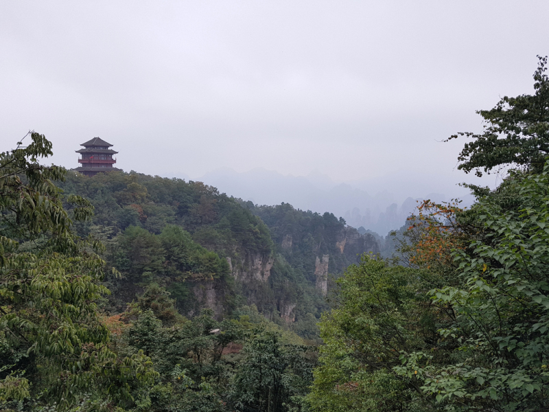 Путешествие за красотой. Shanghai - Yangshuo - Fenghuang - Furong - Zhangjiajie - Hongkong - Makau. Сентябрь - октябрь 2019.