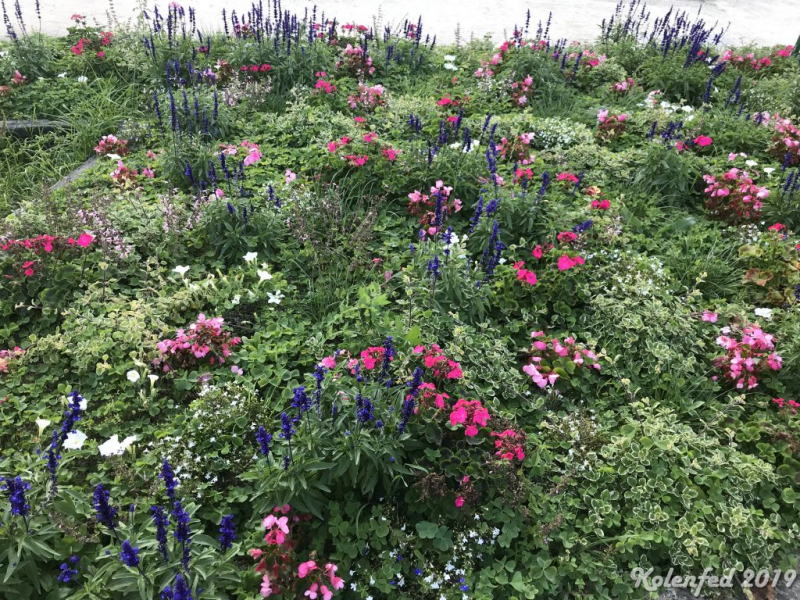 «Что-то пошло не так» – автотрип по Европе-2019, вопреки обстоятельствам.