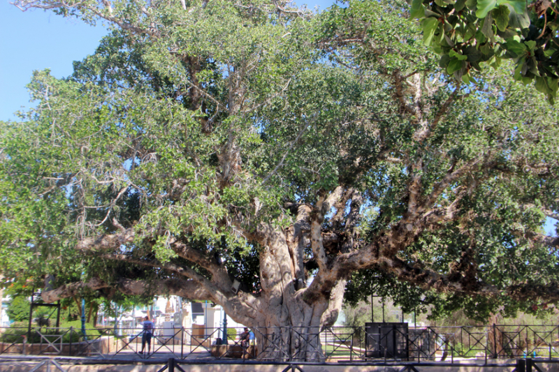 Кипр в 2019, достопримечательности и пляжи с координатами, маршруты по острову Кипр включая Северный Кипр