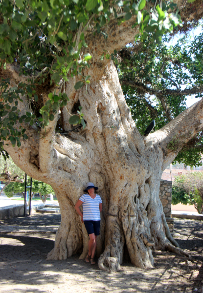 Кипр в 2019, достопримечательности и пляжи с координатами, маршруты по острову Кипр включая Северный Кипр