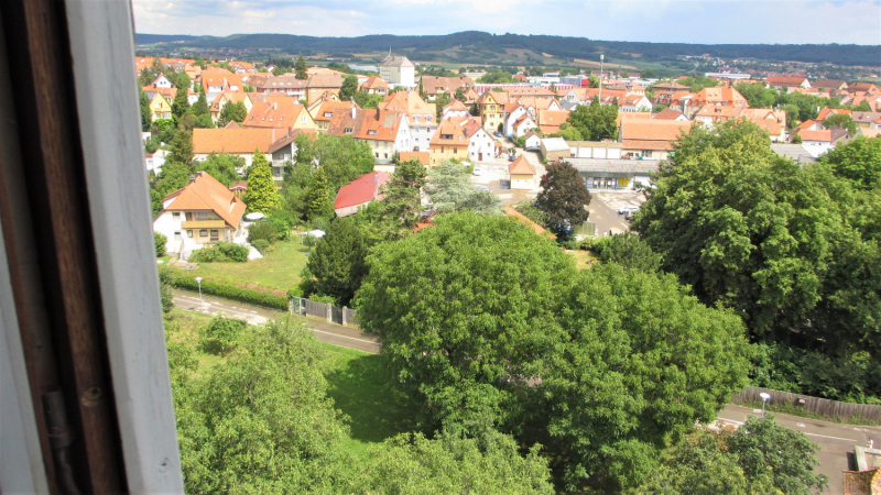 Из дальних стран 2019 с большим приветом ( Польша, Германия, Австрия, Словения, Италия....)