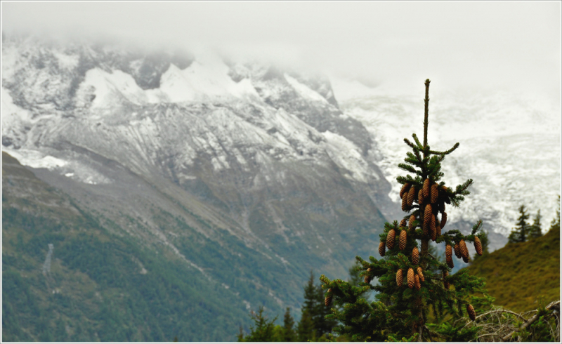 Balcon Sud: Planpraz – Flégère