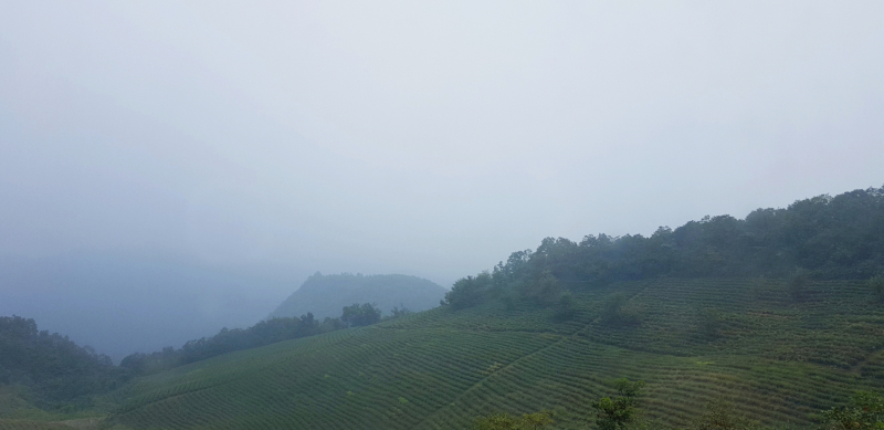Путешествие за красотой. Shanghai - Yangshuo - Fenghuang - Furong - Zhangjiajie - Hongkong - Makau. Сентябрь - октябрь 2019.