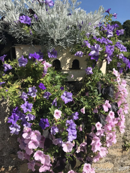 «Что-то пошло не так» – автотрип по Европе-2019, вопреки обстоятельствам.