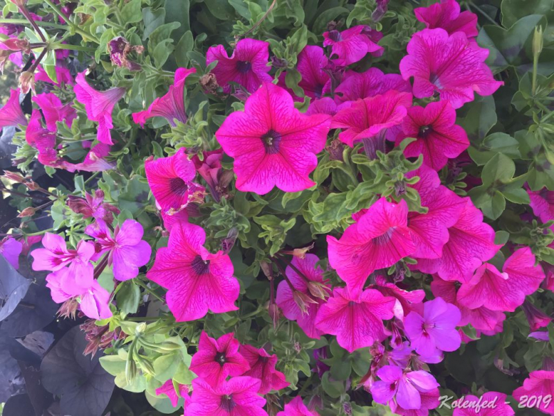 «Что-то пошло не так» – автотрип по Европе-2019, вопреки обстоятельствам.