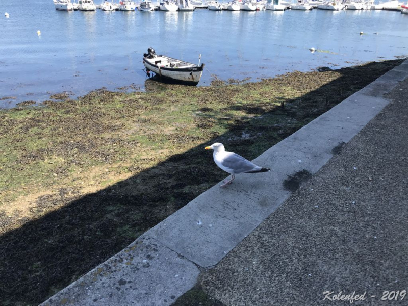«Что-то пошло не так» – автотрип по Европе-2019, вопреки обстоятельствам.