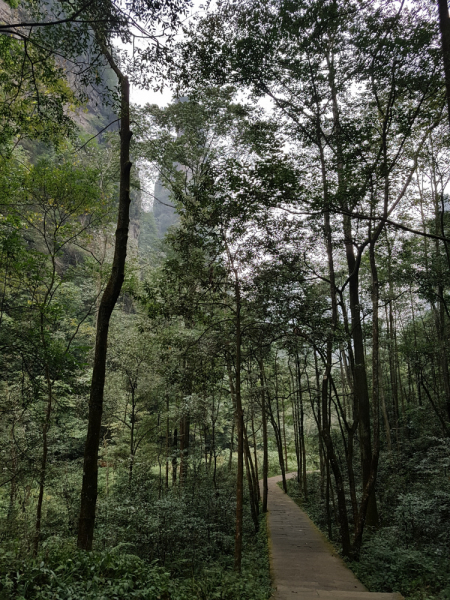 Путешествие за красотой. Shanghai - Yangshuo - Fenghuang - Furong - Zhangjiajie - Hongkong - Makau. Сентябрь - октябрь 2019.