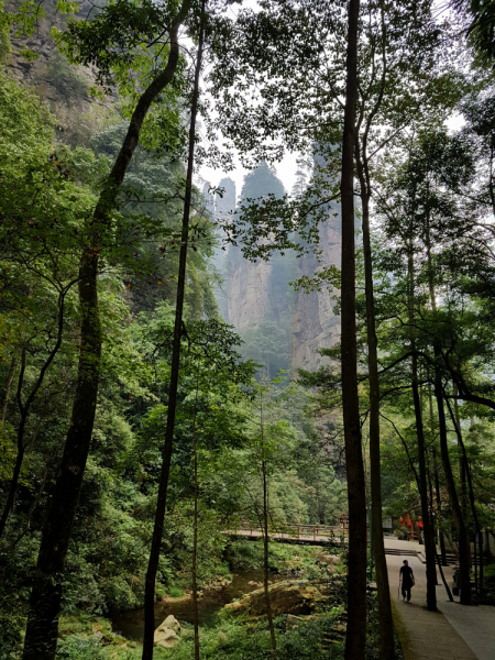 Путешествие за красотой. Shanghai - Yangshuo - Fenghuang - Furong - Zhangjiajie - Hongkong - Makau. Сентябрь - октябрь 2019.