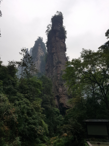 Путешествие за красотой. Shanghai - Yangshuo - Fenghuang - Furong - Zhangjiajie - Hongkong - Makau. Сентябрь - октябрь 2019.