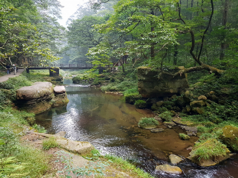 Путешествие за красотой. Shanghai - Yangshuo - Fenghuang - Furong - Zhangjiajie - Hongkong - Makau. Сентябрь - октябрь 2019.