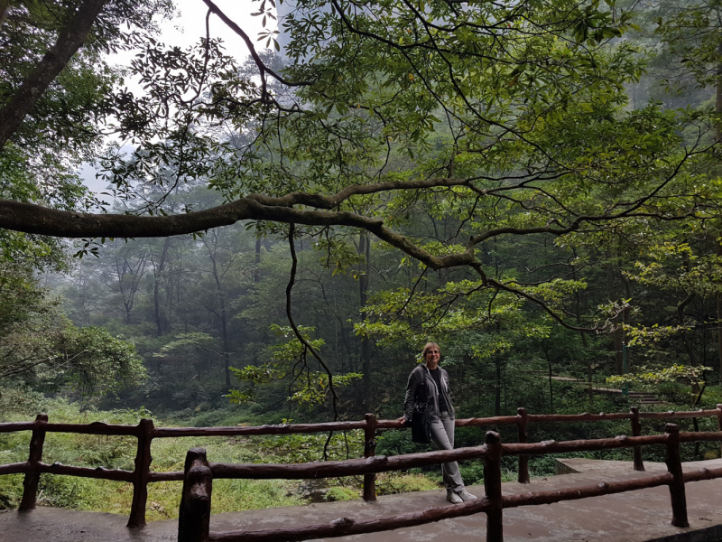 Путешествие за красотой. Shanghai - Yangshuo - Fenghuang - Furong - Zhangjiajie - Hongkong - Makau. Сентябрь - октябрь 2019.