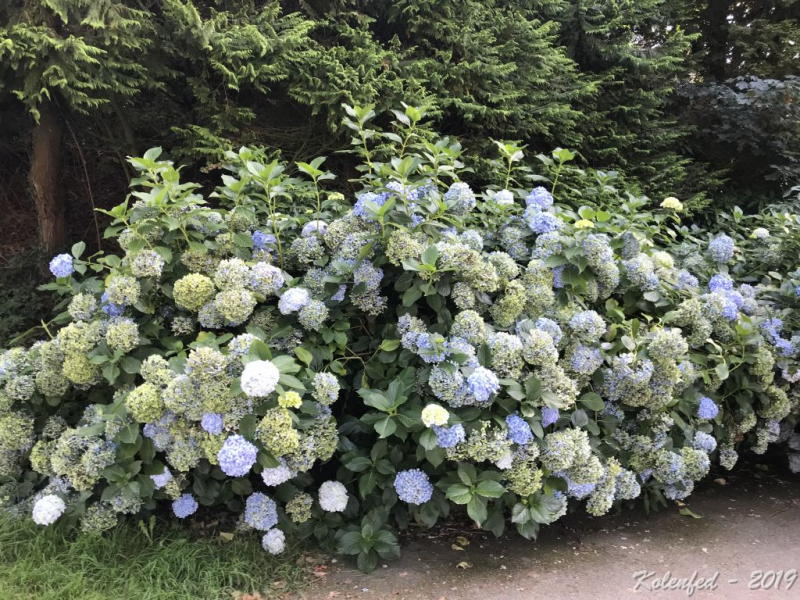 «Что-то пошло не так» – автотрип по Европе-2019, вопреки обстоятельствам.